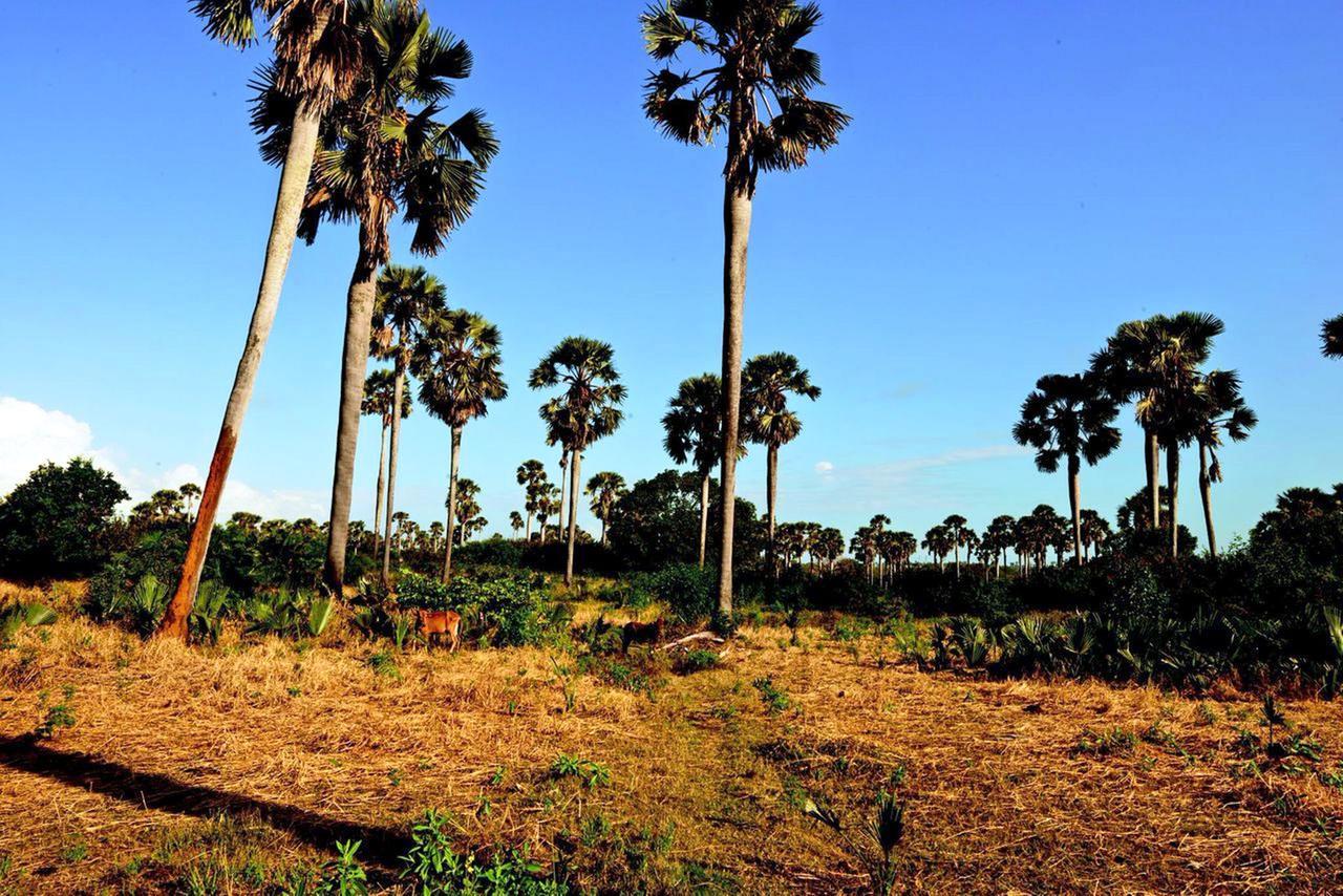 The Aiyana Resort & Spa Makangale Eksteriør bilde